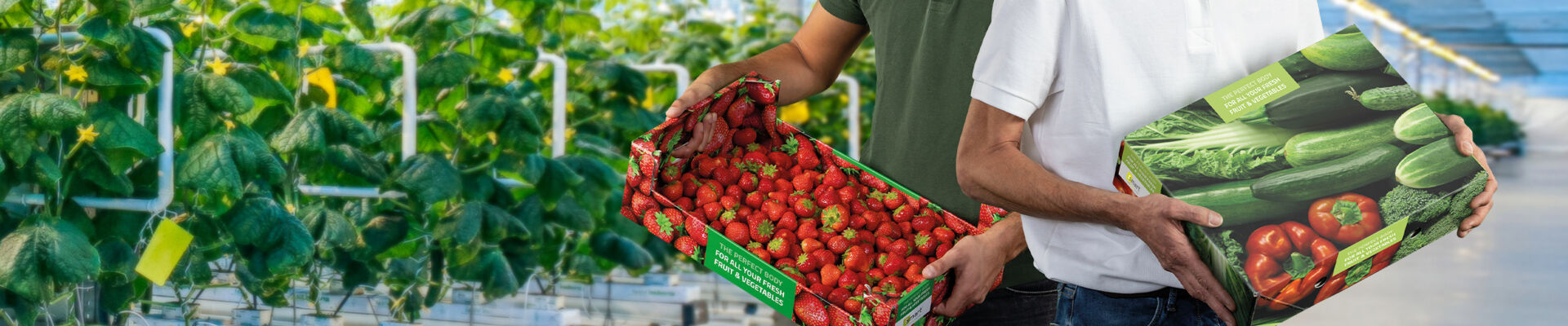 Fruits et légumes