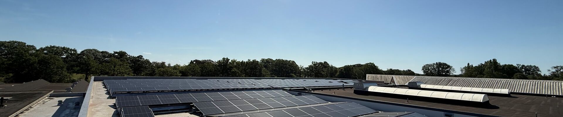 Boosting sustainability at our Loenen site