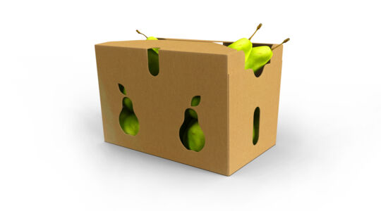 Nieuw product van smart packaging solutions: duurzame punnet voor groenten en fruit