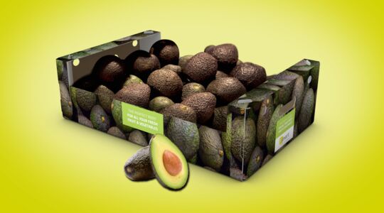 Efficiënte avocadoverpakking voor export
