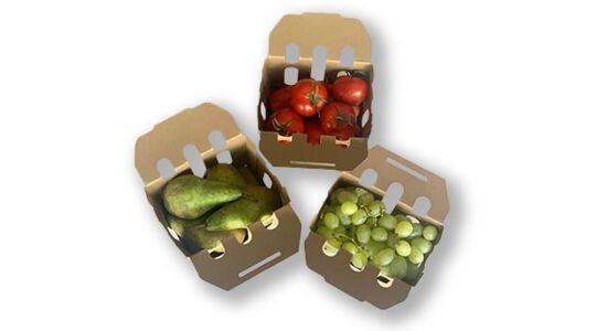 Five benefits of our sustainable punnets for fruit and vegetables